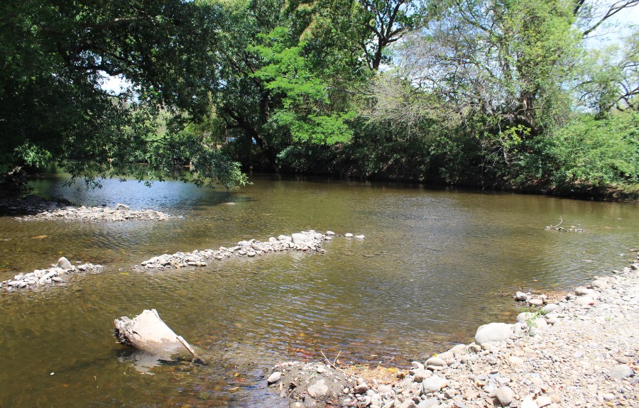Sequía obliga a reducir en un 50% producción de agua en Chame 