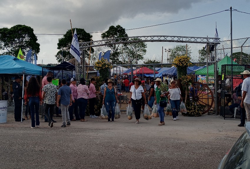 Todo listo para la Feria de la Piña en Zanguenga de La Chorrera 