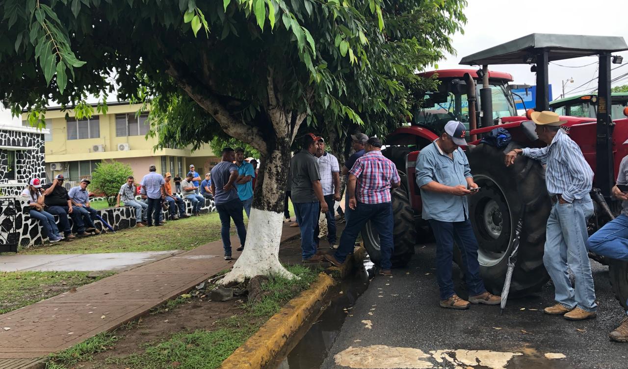 Productores de maíz santeños se declaran en vigilia permanente 