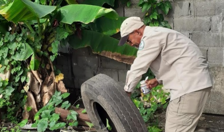 En marzo se ha registrado más de 3,000 casos acumulados de dengue a nivel nacional 