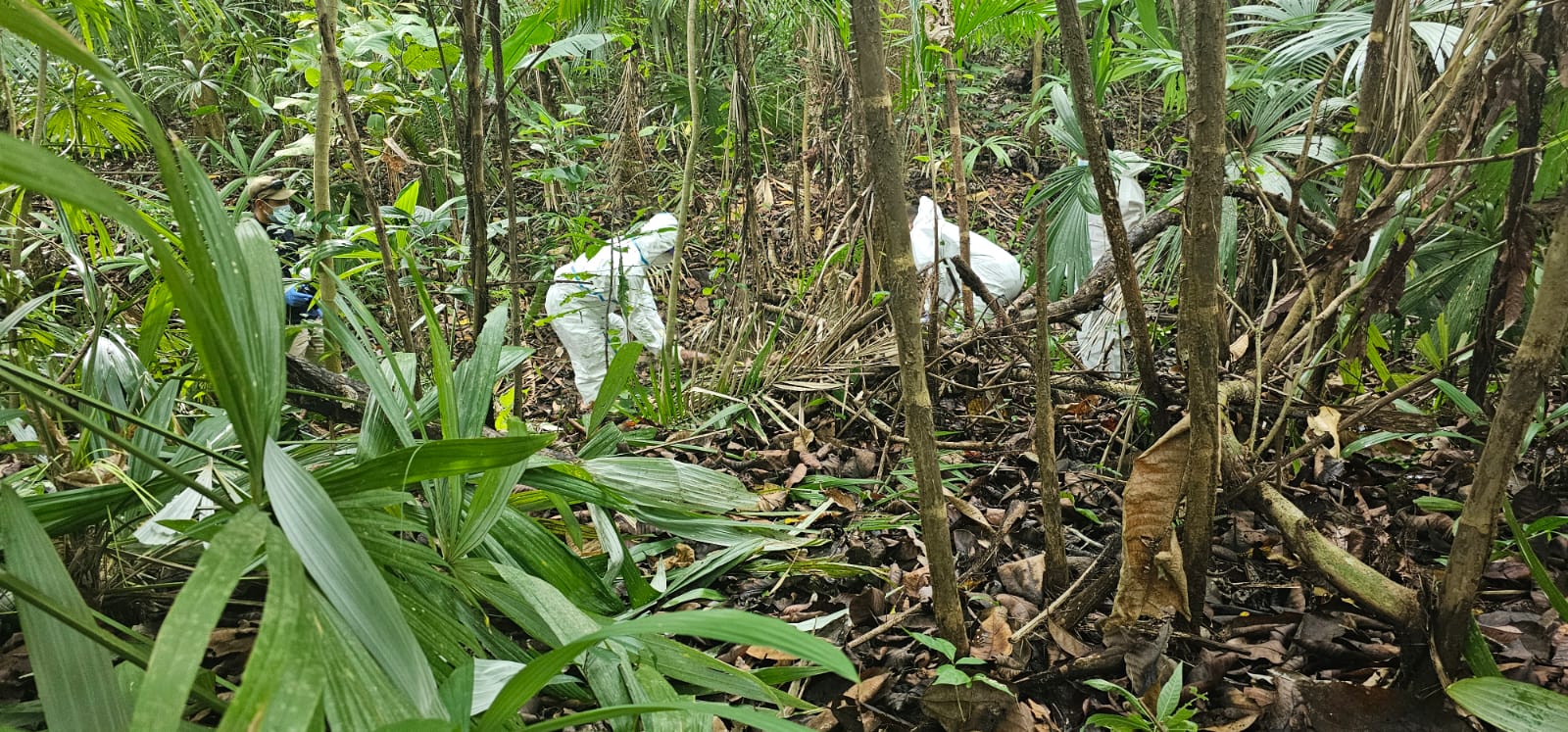 Hallan restos humanos en una zona boscosa de Loma Cová, se presume que sean de Leopoldo Lester  