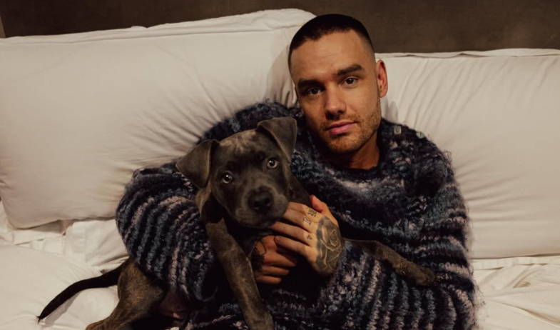 ¿Quién la recibirá? Revelan detalles de la herencia millonaria que dejó Liam Payne tras su trágica muerte 