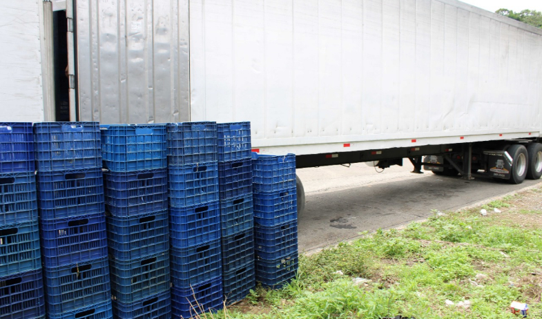 Detectan irregularidades en transporte de productos cárnicos en San Miguelito 