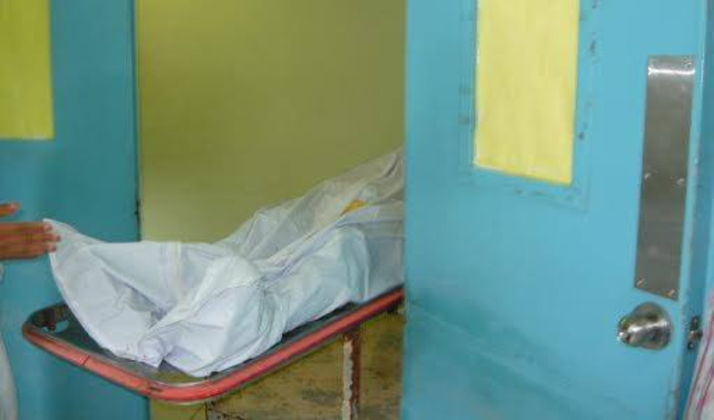 Muere hombre presuntamente por mordedura de serpiente en Las Minas de Donoso 
