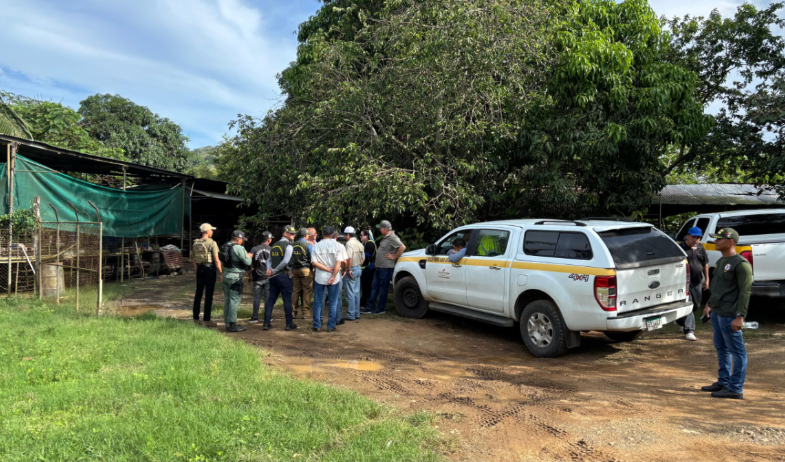 Suspenden operaciones de porquerizas por daño ambiental en el río La Villa 