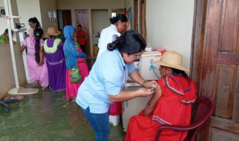 Minsa reporta 45 defunciones por influenza y confirma nuevo brote de virus Oropouche en Panamá Este 