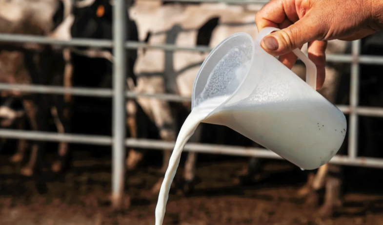 Anuncian acuerdo con Nestlé, se comprará la producción de leche grado C 