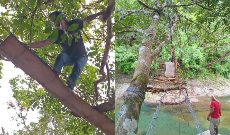 Comunidades de la comarca Ngäbe Buglé siguen arriesgando la vida por falta de puentes seguros 