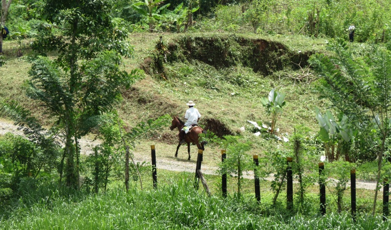 Capira busca sumarse al trazado del tren Panamá–David 