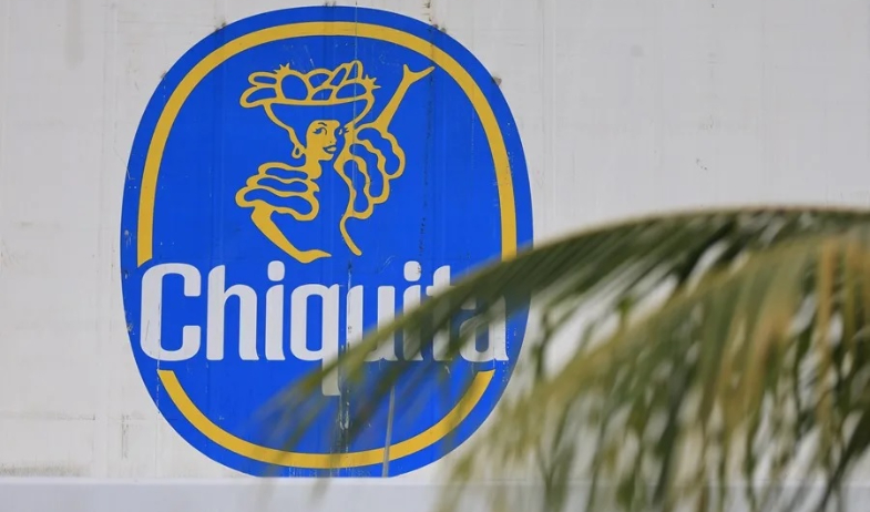 Chiquita retomará exportaciones de banano en diciembre próximo, según el Gobierno panameño 