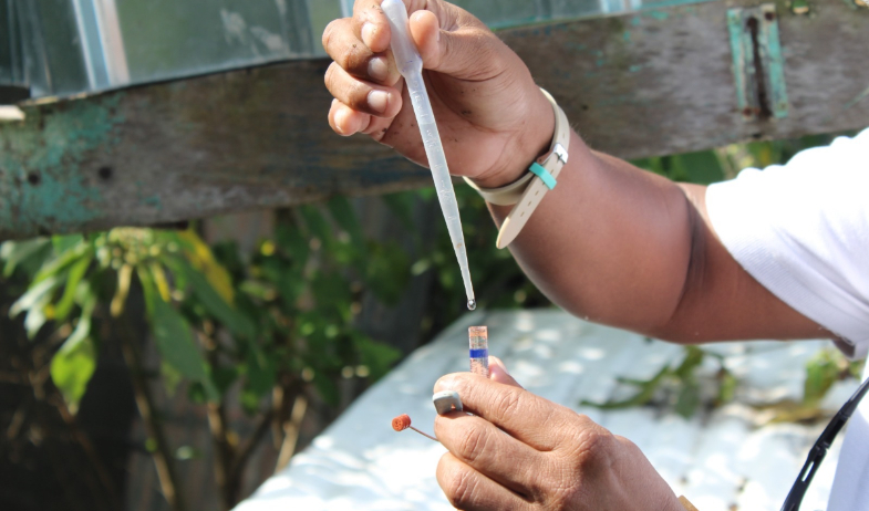 Panamá supera los 11 mil casos de dengue en lo que va del 2025 