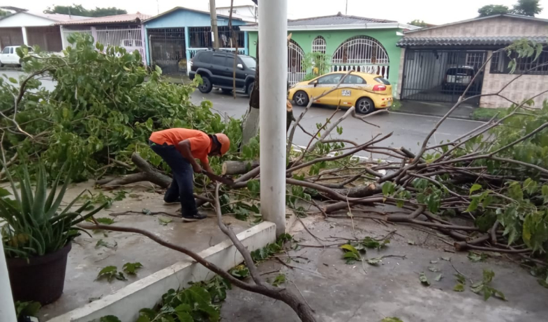 Fuertes vientos provocan caída de árboles, deslizamiento y operaciones de rescate en varias provincias 