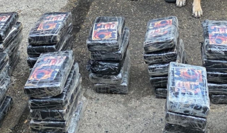 Incautan en Panamá 50 paquetes de droga enviados desde Brasil y con destino a Turquía 