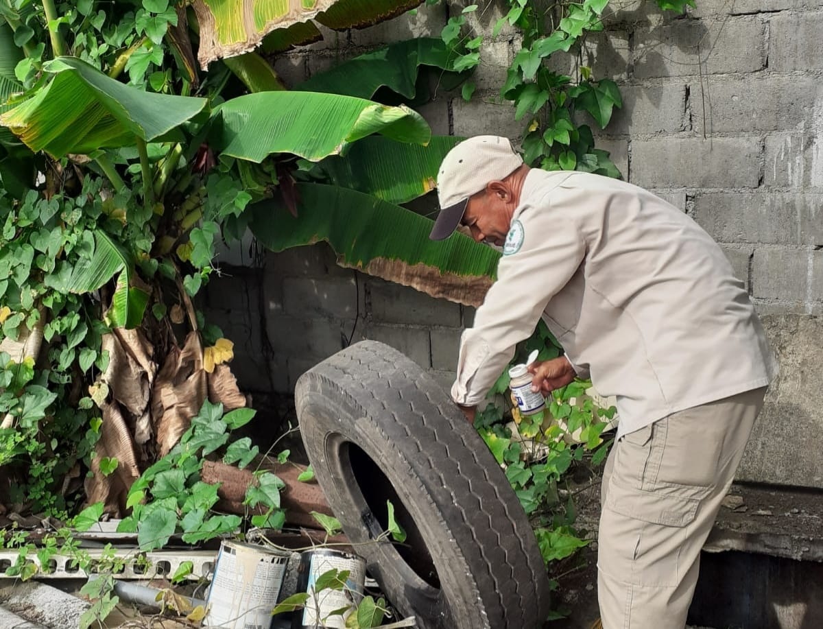 Minsa registra un total de 11,790 casos acumulados de dengue a nivel nacional 