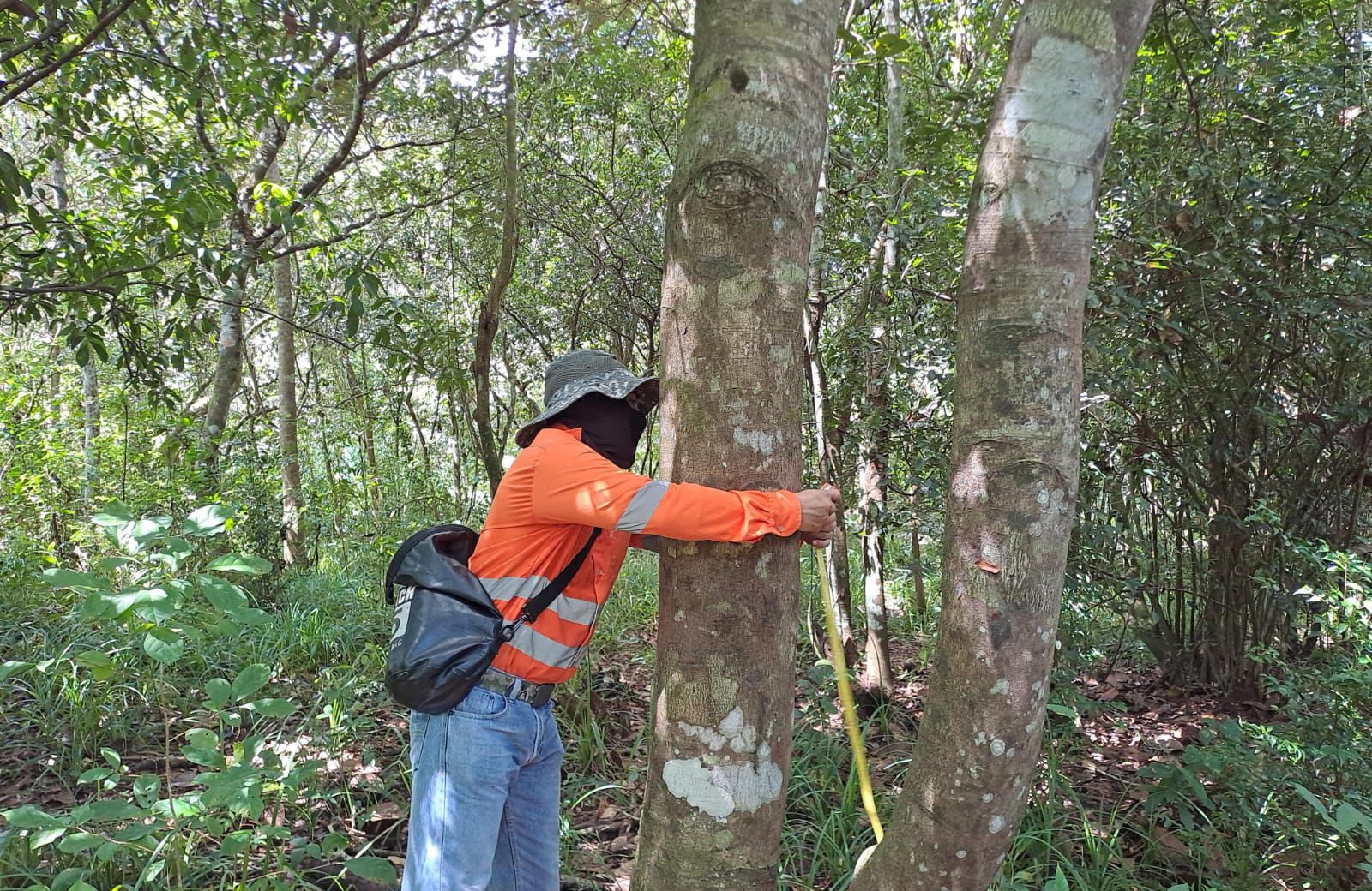 Secretaría del Ferrocarril inicia estudios de impacto ambiental del proyecto ferroviario de Panamá junto a WSP 