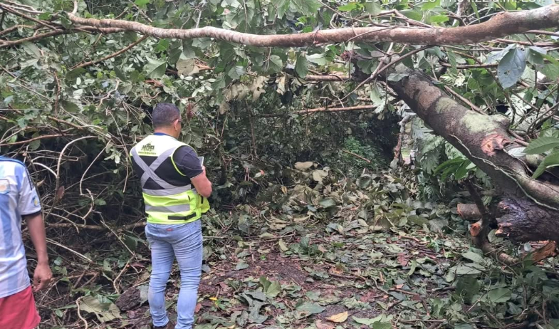 Reabren vía afectada por deslizamiento en Colón 