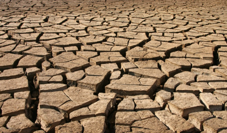 Panamá acogerá una sesión de la ONU para abordar la sequía y la degradación de las tierras 