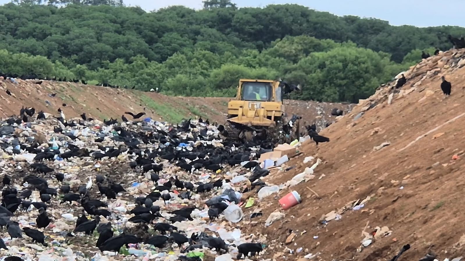 Autoridades inspeccionan vertederos en Azuero y declaran cierre del de Pocrí 