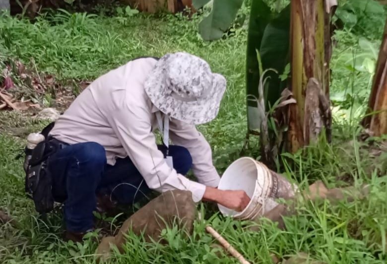 Panamá acumula 25 muertes por dengue y 15.098 casos de la enfermedad en 2025 