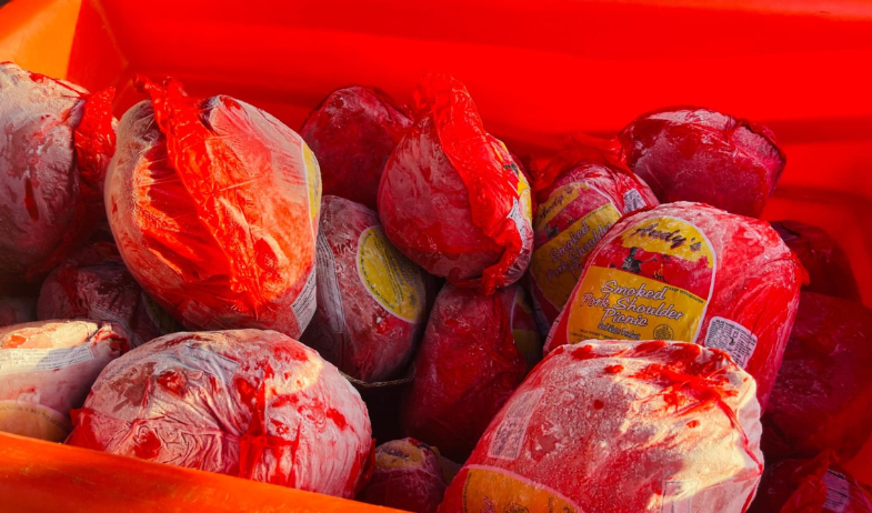 Naviferias llegan a Colón a partir del 10 de diciembre 