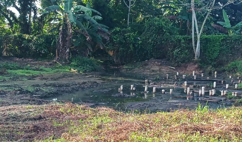 Quejas por colapso del alcantarillado en Villa Marina, Atalaya 