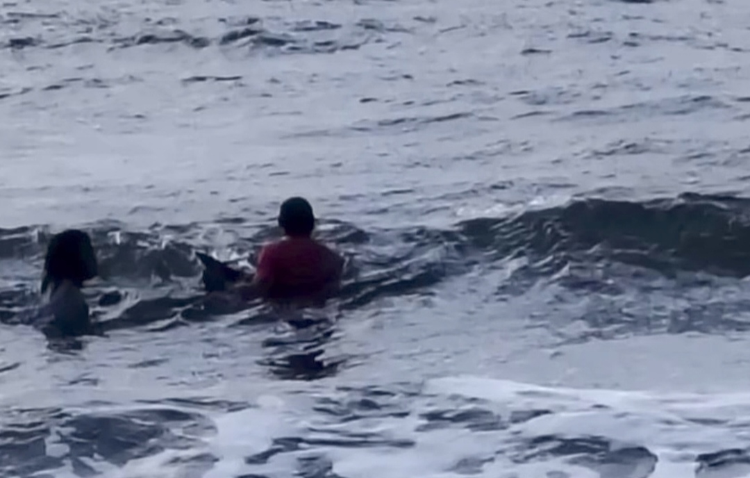 Rescatan delfín varado en la costa de Piña, en la Costa Abajo de Colón 