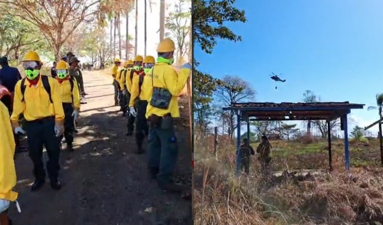 Realizan simulacro interinstitucional de incendio de masa vegetal en Tanara, Chepo 