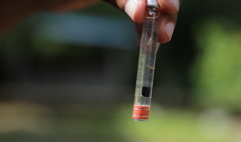 Panamá logra una reducción del 50 % en casos y defunciones por dengue al cierre de 2025 