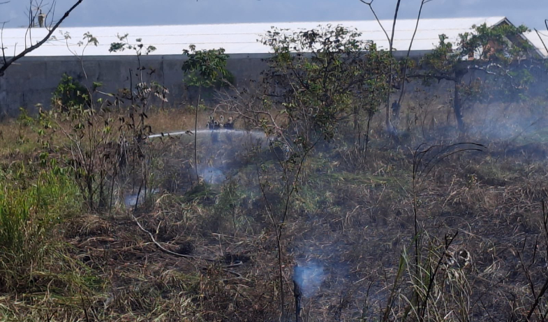 Despliegan equipos de bomberos por alto riesgo de incendios de masa vegetal en Panamá Oeste 