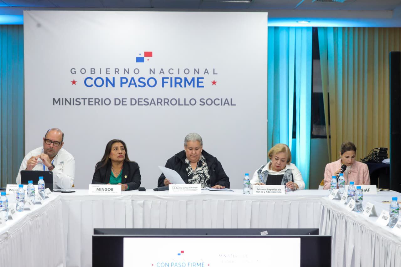 Ministra Carles preside el CONNA para abordar situación de los niños, niñas y adolescentes bajo medidas de protección 