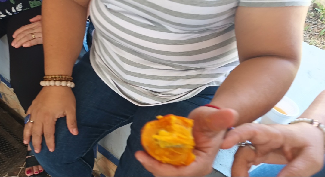 Educadores en Veraguas denuncian falta de alimentación durante jornadas de capacitación 