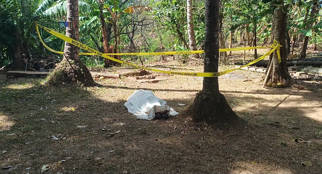 Fatal accidente: racimo de pipas impacta a hombre y cae desde más de 20 metros 