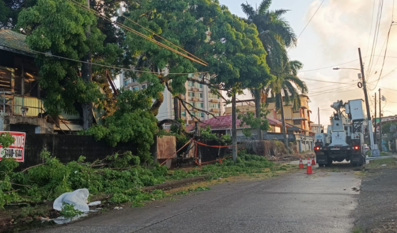 Fuertes vientos provocan caída de árbol sobre una casa en Colón 