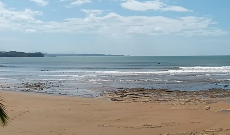 Sinaproc evacúa bañistas tras avistamiento de lagartos en playa Morrillo, Mariato 