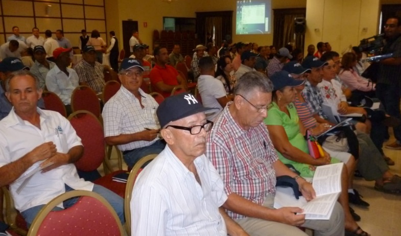 Productores de arroz en Veraguas alertan sobre alza en costos de producción ante próxima siembra 