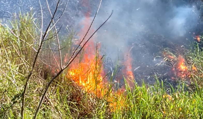 Cada dos horas se registra un incendio de masa vegetal en el territorio nacional  