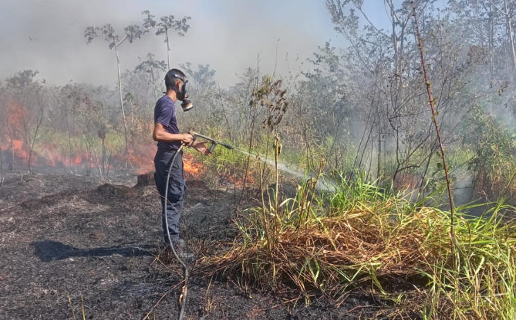 Panamá, Coclé y Chiriquí concentran la mayor cantidad de casos de incendios de masa vegetal  