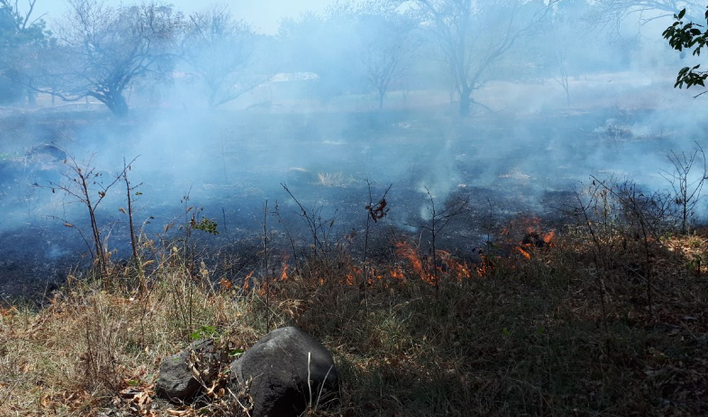 Sinaproc emite aviso por aumento del riesgo de incendio en varias regiones del país 