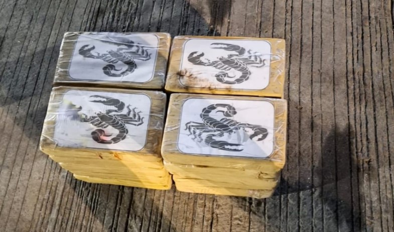 Detectan 20 paquetes de droga en contenedor con destino a Alemania en Colón  