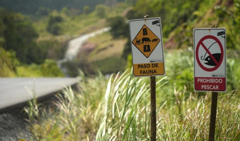 Panamá ya tiene en el Caribe su primera carretera amigable con el medio ambiente 
