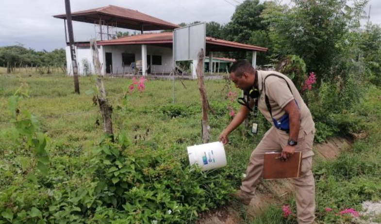 Panamá supera los 1,200 casos de dengue en las primeras semanas de 2026 