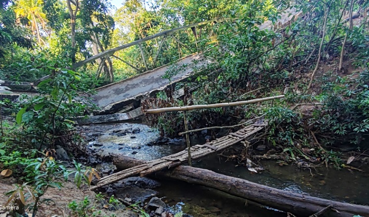 ¡Puente de palo pa resolver! Vecinos de Capira cruzan el río Perequeté tras colapso por camión pesado 