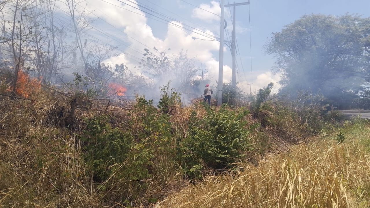  156 emergencias atendidas por los bomberos en todo el país este Viernes Santo 