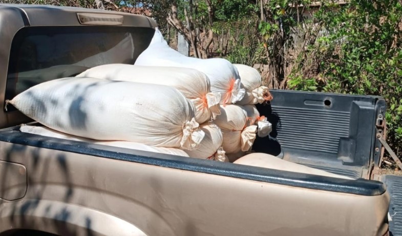 Insólito: roban 20 sacos de sal a cooperativa de productores 