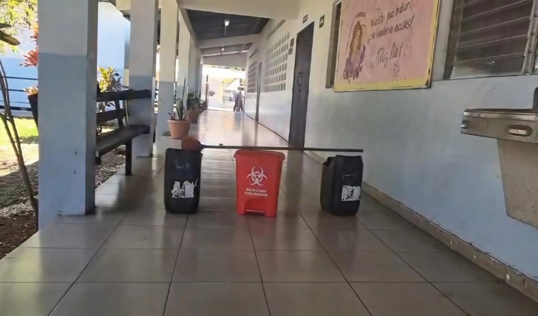 Infestación de pulgas obliga a suspender clases en escuela de Pesé 