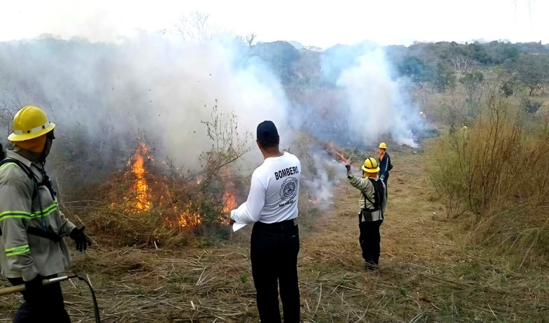 Se triplican incendios de masa vegetal en la provincia de Los Santos 