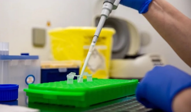 Hantavirus: la OMS eleva a 6 los casos confirmados tras el positivo de un contagio sospechoso 
