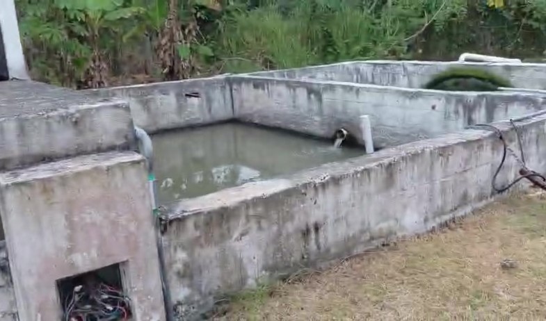 Plantas de tratamiento en Panamá Oeste generan preocupación ciudadana 