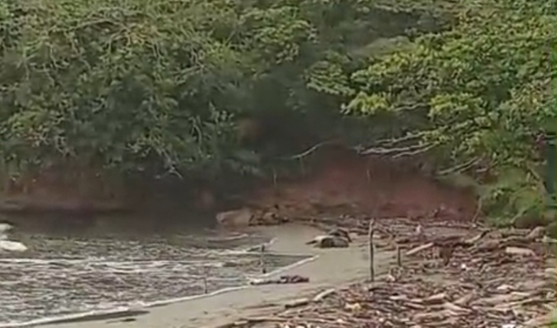 Asesinan a joven en playa de Chagres durante ataque armado 