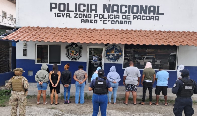 Desarticulan red de narcotráfico que movilizaba droga por servicios de correo 